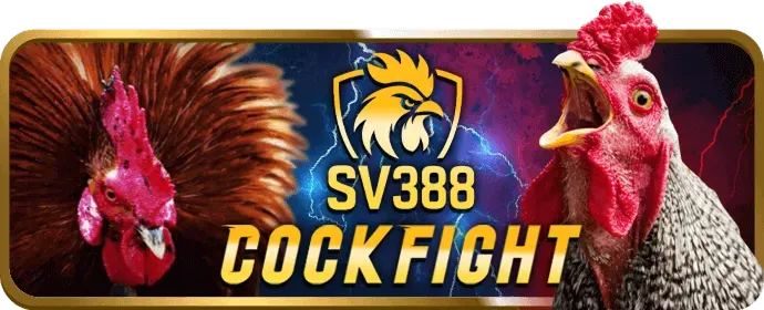 Giám đốc Marketing fv88 code